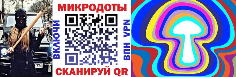 Псилоцибиновые грибы Psilocybine cubensis  Мураши 